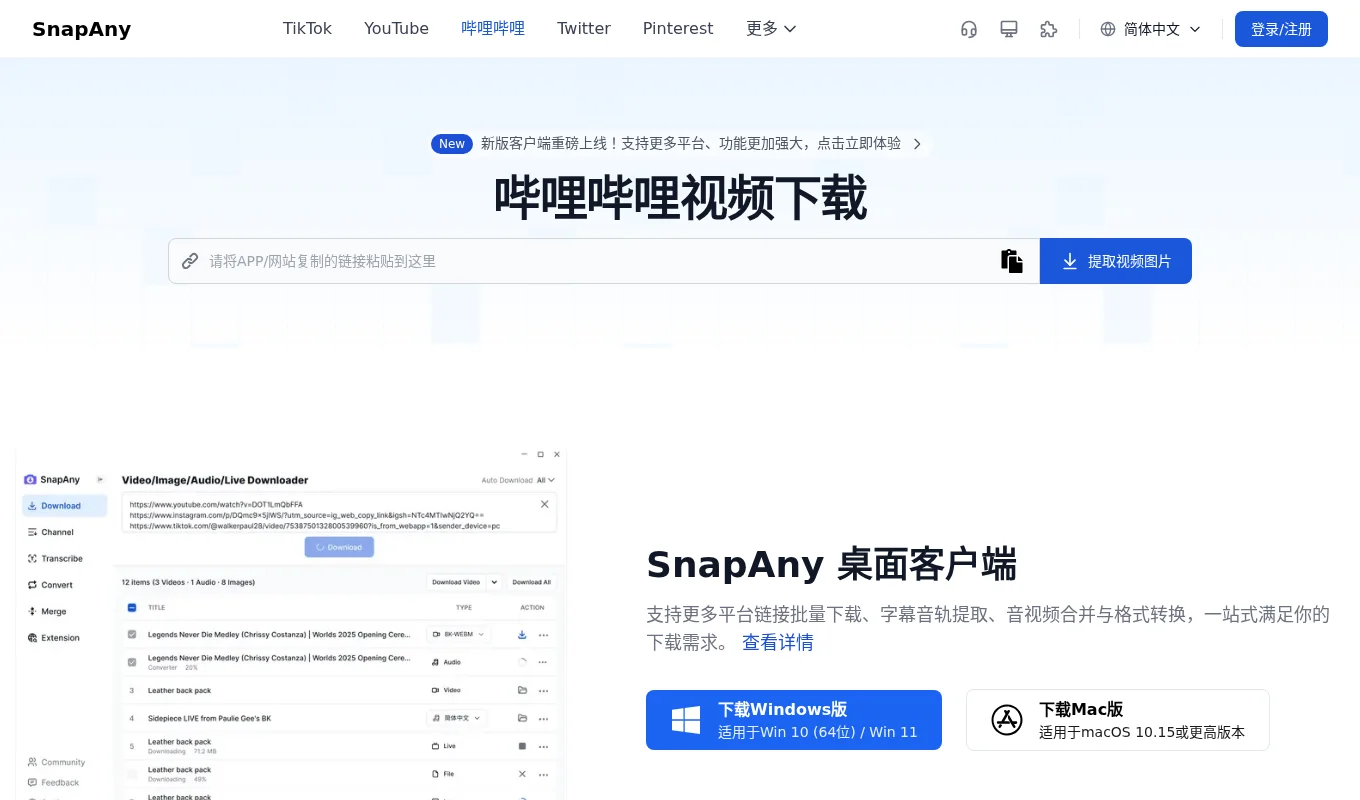 全网视频解析下载